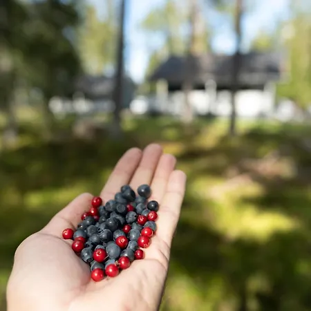 Fishing And Village Merikoivula Chalet *