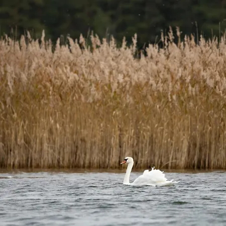 Fishing And Village Merikoivula Uusikaupunki
