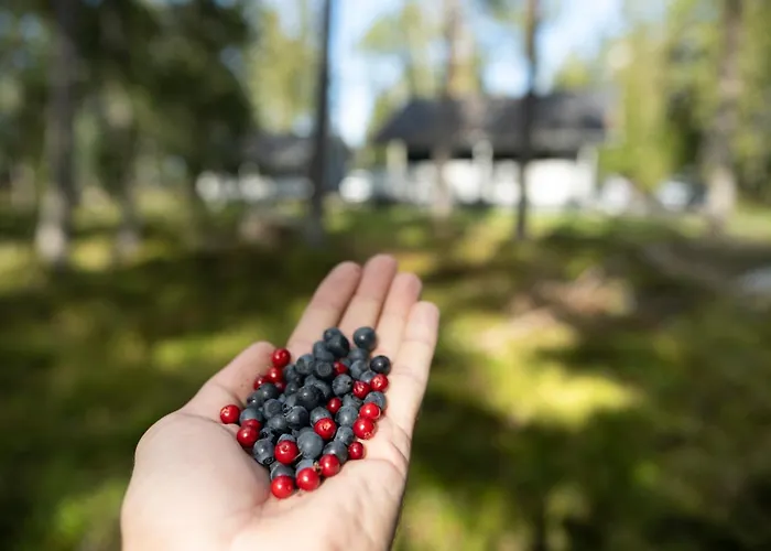 Fishing&holiday Village Merikoivula Alpstuga *