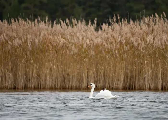 Fishing&holiday Village Merikoivula Nystad